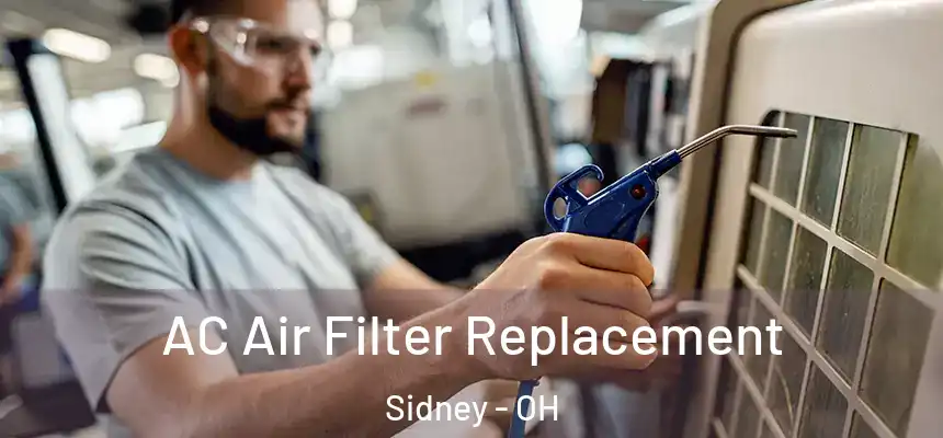 AC Air Filter Replacement Sidney - OH