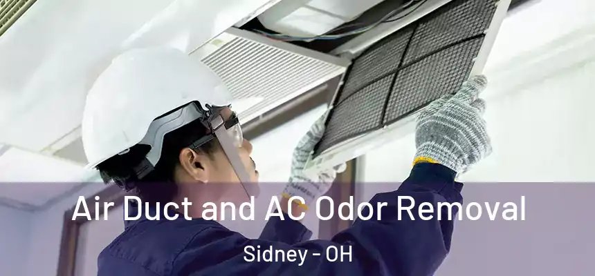 Air Duct and AC Odor Removal Sidney - OH