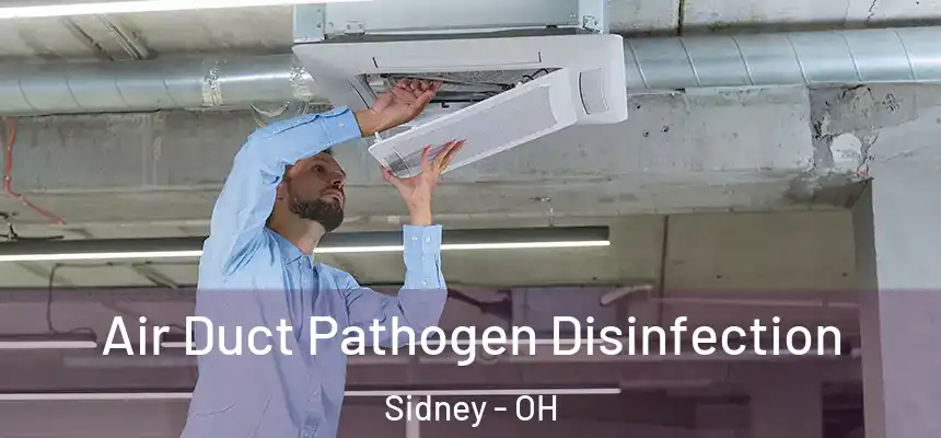  Air Duct Pathogen Disinfection Sidney - OH