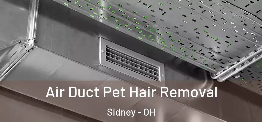 Air Duct Pet Hair Removal Sidney - OH