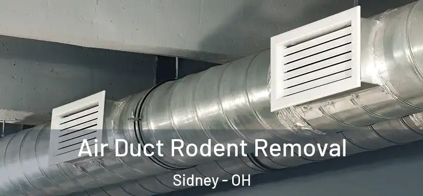  Air Duct Rodent Removal Sidney - OH