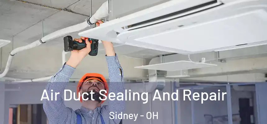 Air Duct Sealing And Repair Sidney - OH