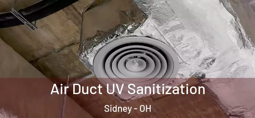  Air Duct UV Sanitization Sidney - OH