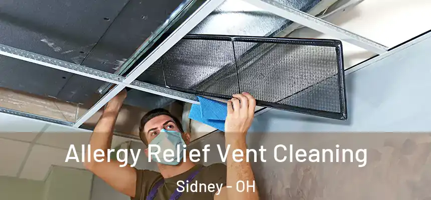Allergy Relief Vent Cleaning Sidney - OH