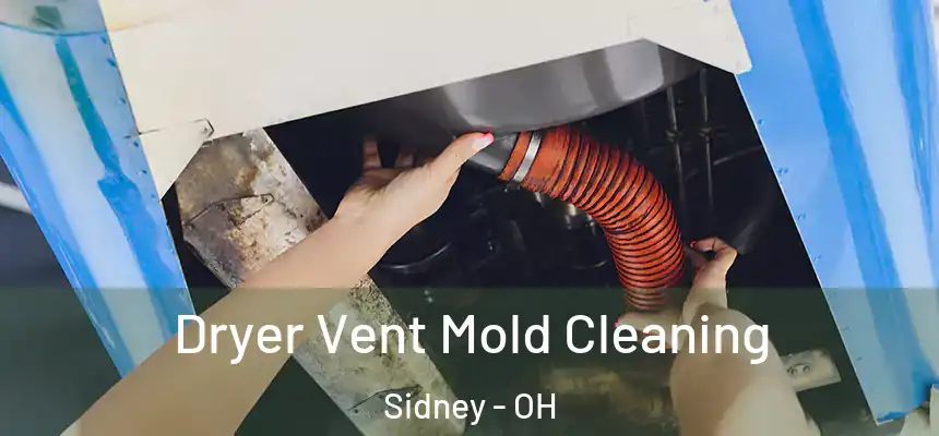 Dryer Vent Mold Cleaning Sidney - OH