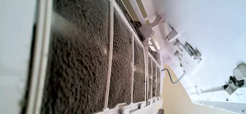 Preventive Air Duct Bacteria Removal in Sidney