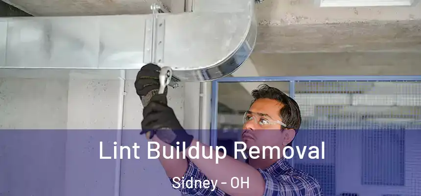  Lint Buildup Removal Sidney - OH