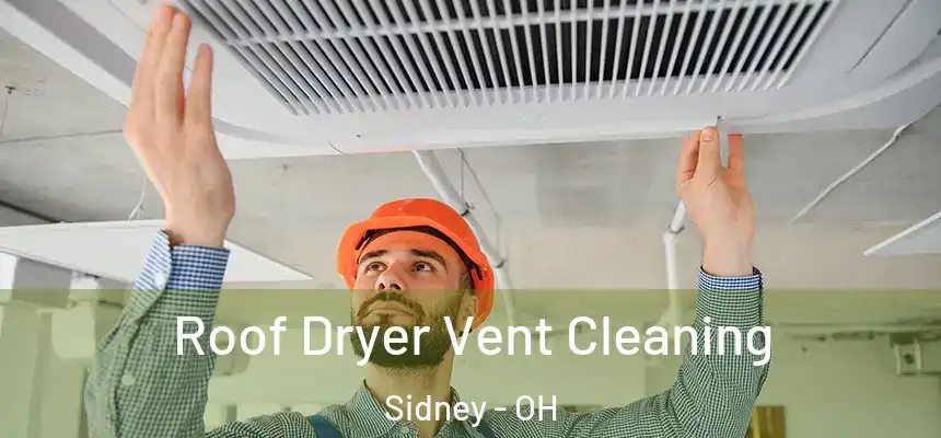 Roof Dryer Vent Cleaning Sidney - OH