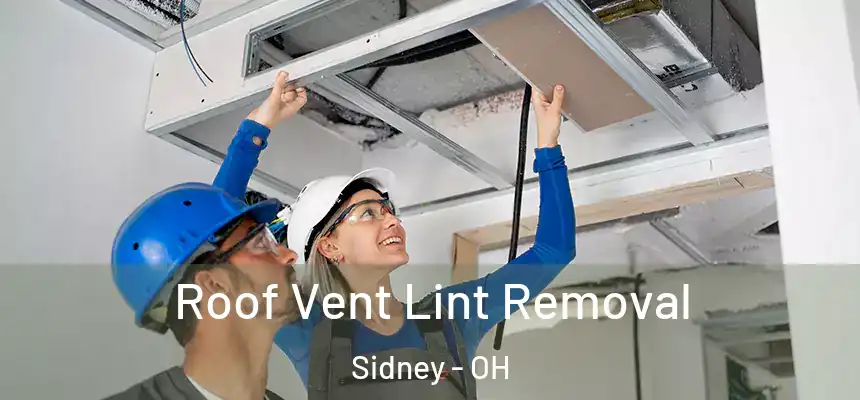 Roof Vent Lint Removal Sidney - OH