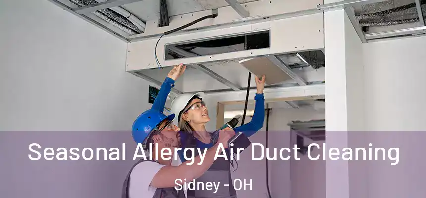 Seasonal Allergy Air Duct Cleaning Sidney - OH