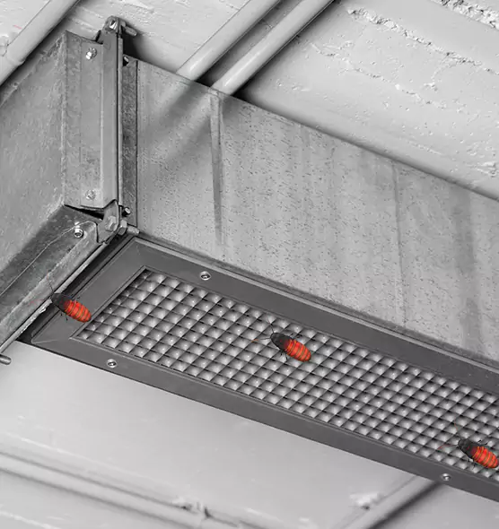 About Air Duct Cockroach Removal in Sidney, OH