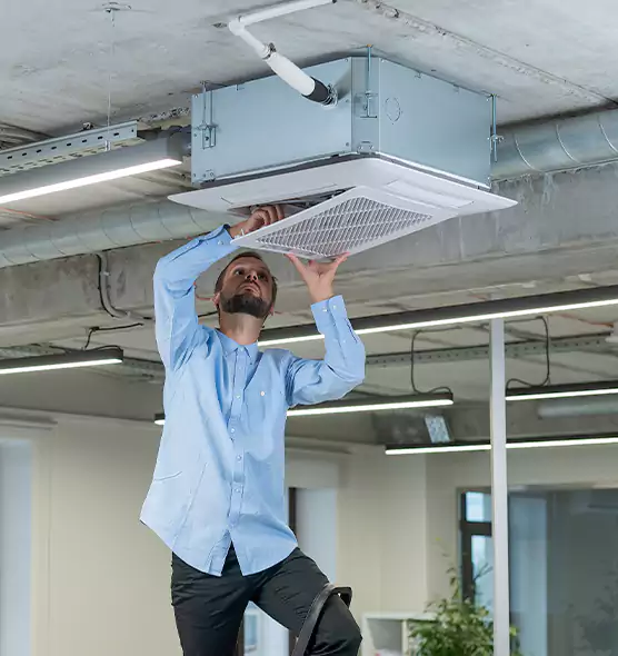 Advanced Rodent Droppings In Vents in Sidney, OH